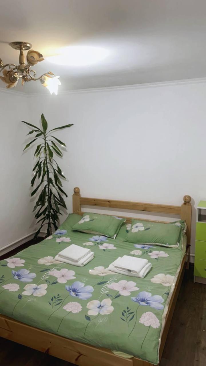 Rozalinda Guesthouse Naryn Zewnętrze zdjęcie